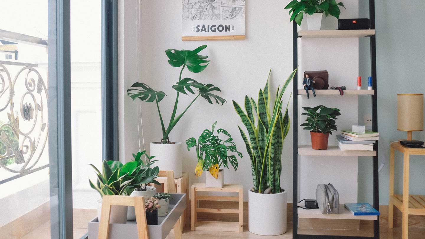 Shop-for-the-Best-Modern-Indoor-Plant-Stands-on-toplineblog