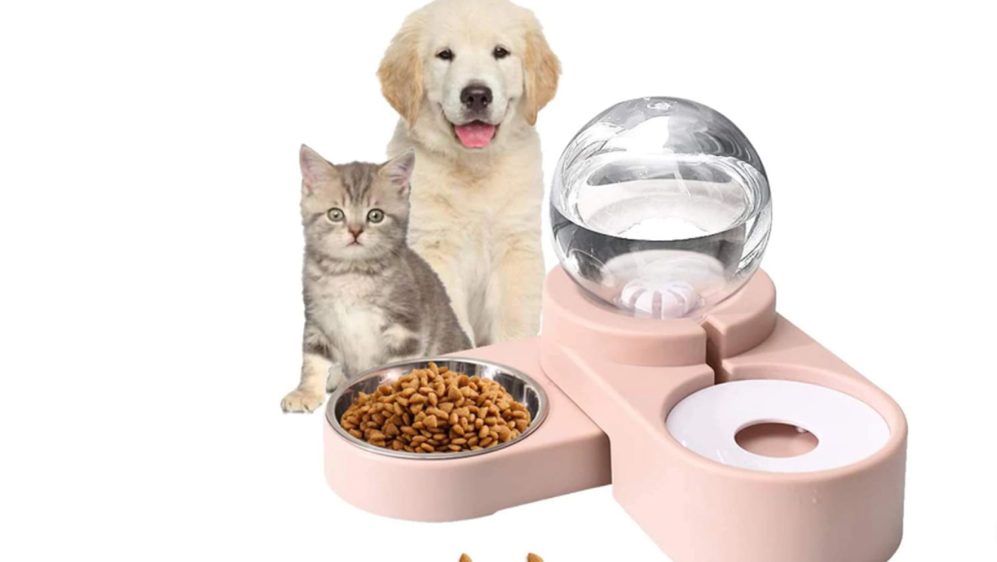 Know-About-the-Automatic-Pet-Feeder-on-toplineblog