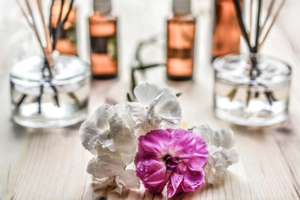 Simple Ways To Control Odor Without Harsh Chemicals Or Overpriced Products On TopLineBlog
