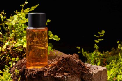 How-Can-Scent-Marketing-Transform-The-Hotel-Guest-Experience-On-TopLineBlog